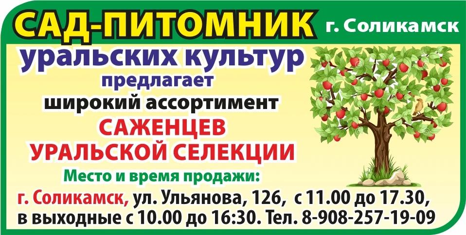 sad-pitomnik-30-08-2026
